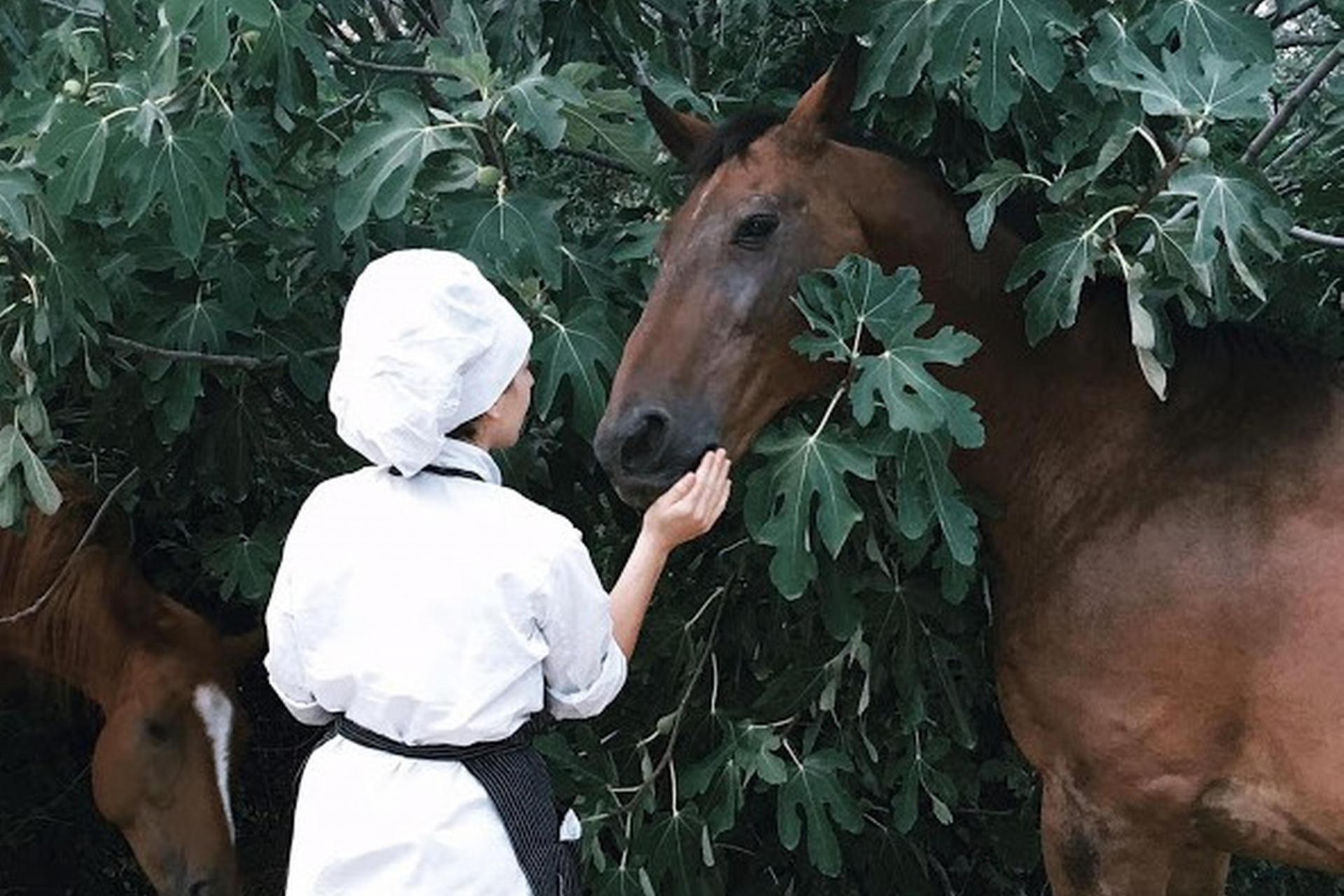 Bio-Agriturismo mit Pferden