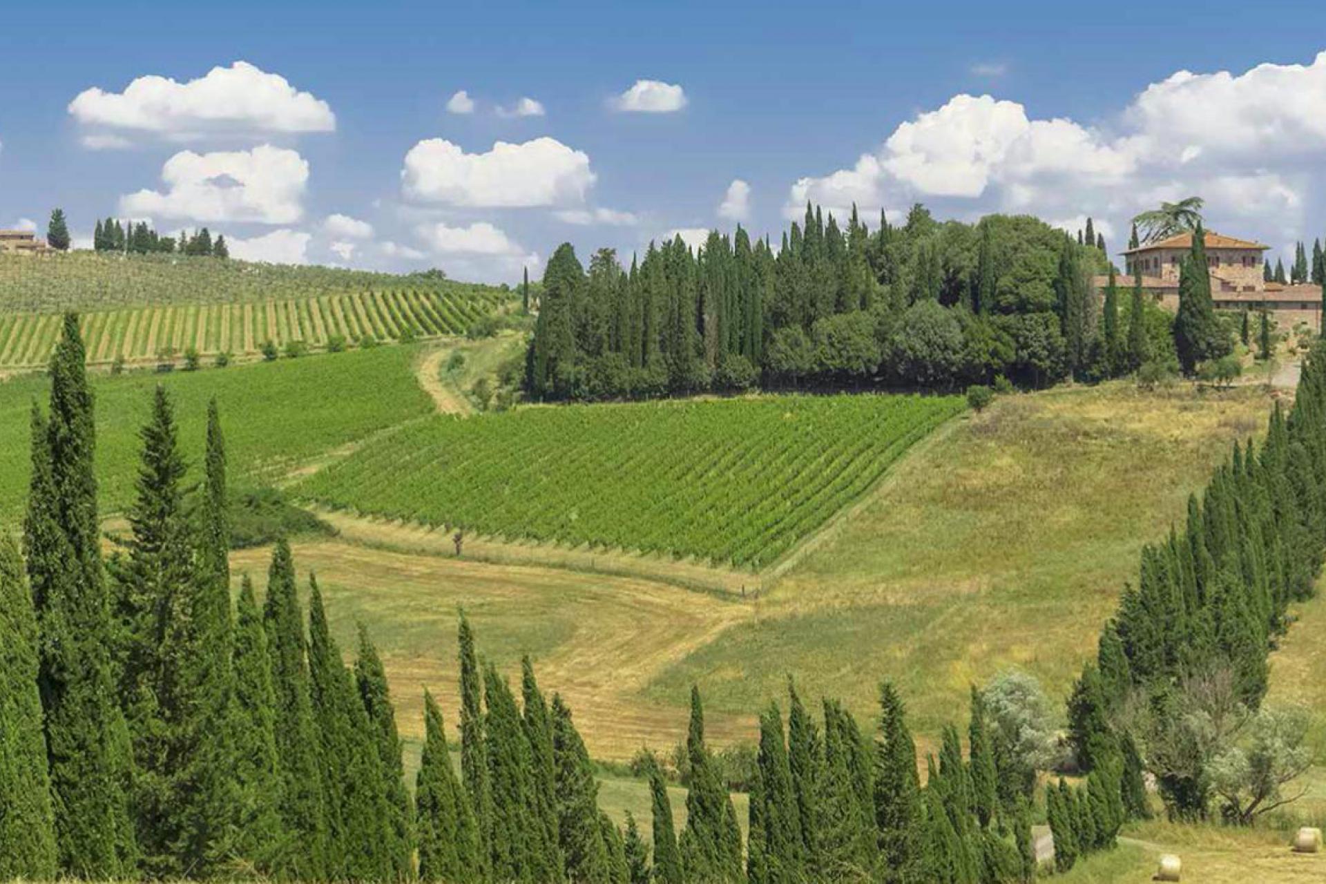 Komfortabler Agriturismo mit FeWo in den unberührten Hügeln von Siena