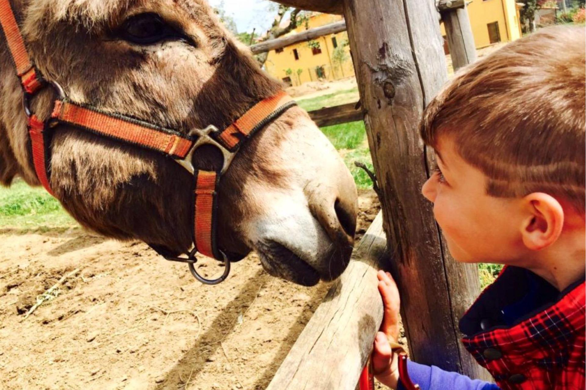 Gastfreundlicher Agriturismo am Meer mit Reitschule