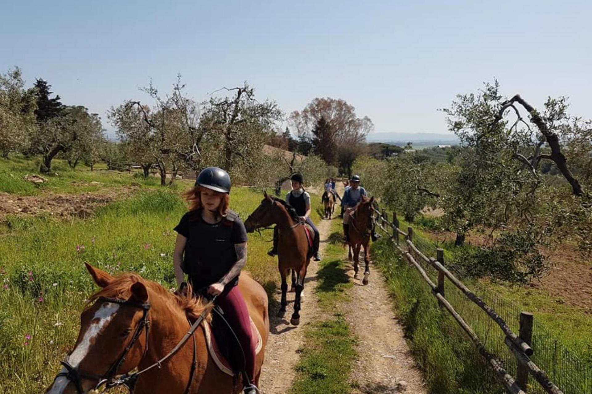 Agriturismo mit Reitschule am Meer