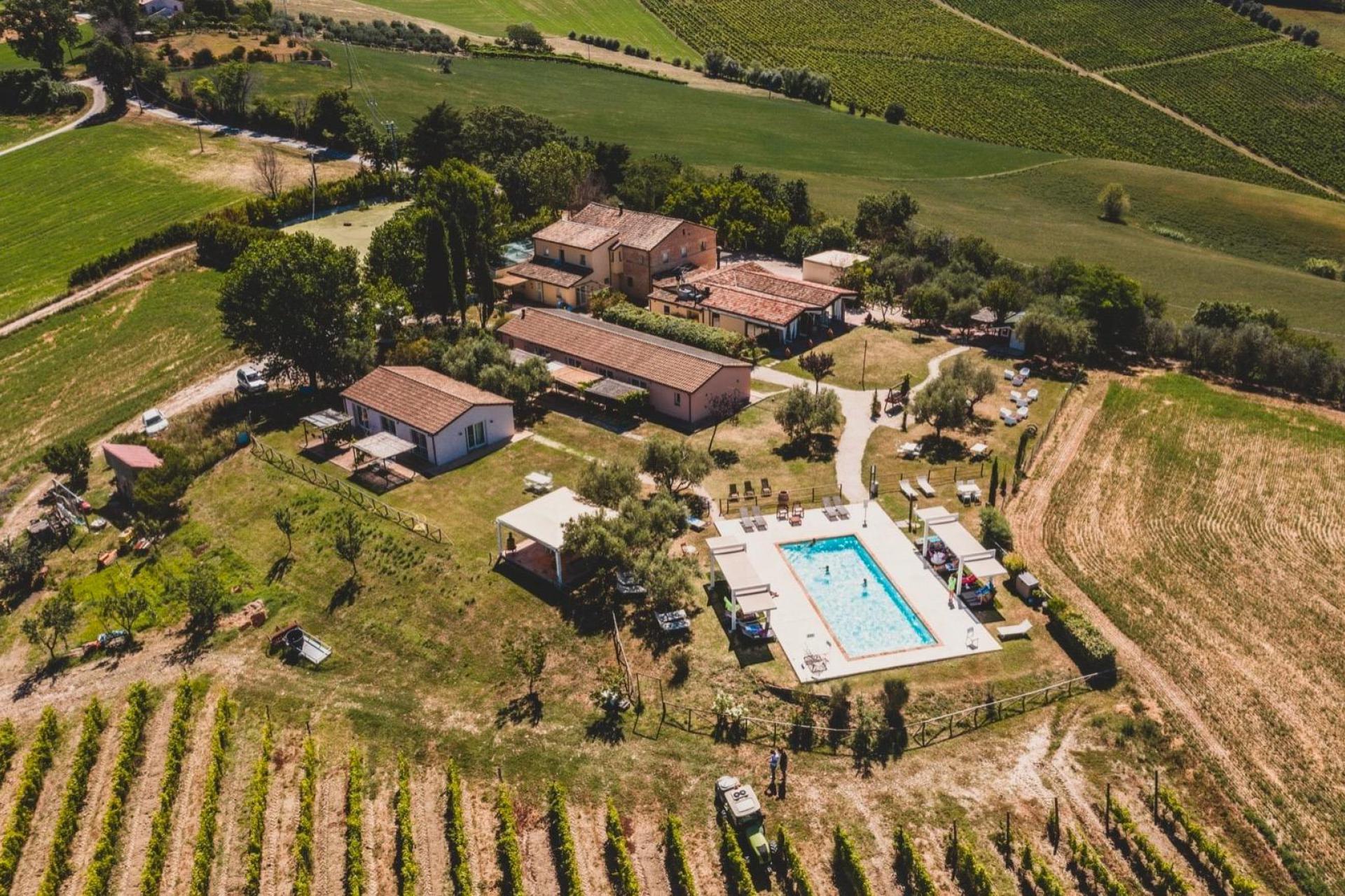 Gastfreundliches Weingut in Le Marche