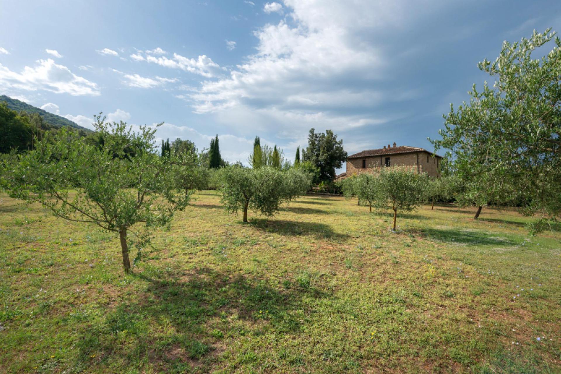 Ferienwohnungen für Ruhe-und Komfortliebhaber auf Agriturismo in der Toskana