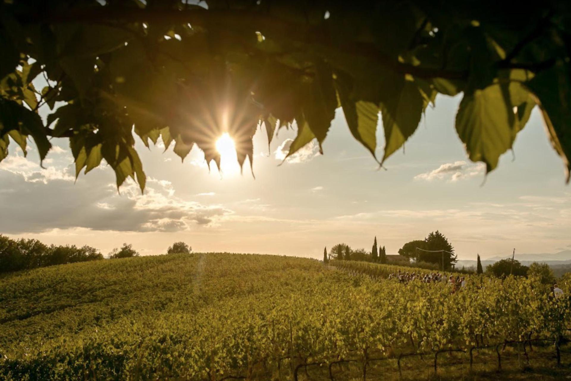 Schöne Weinfarm im Chianti-Gebiet