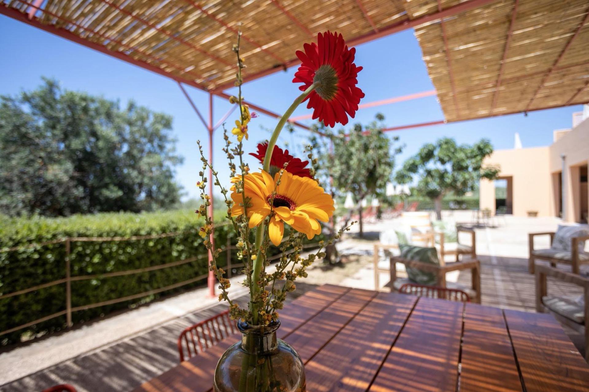 Agriturismo am sizilianischen Meer