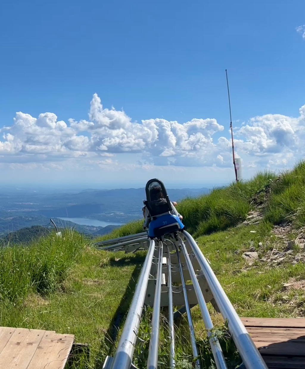 Margots tip Margots tip