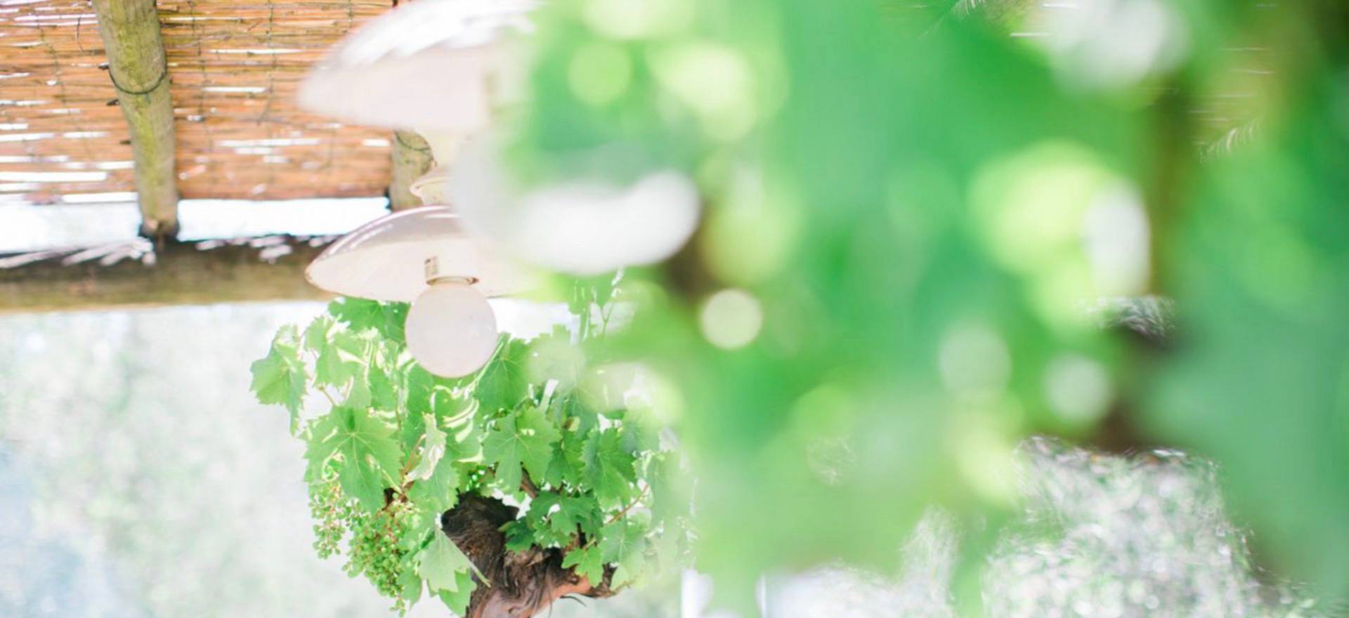 Agriturismo Toskana 16 FeWo in der Nähe der toskanischen Küste | myitalyselection.de