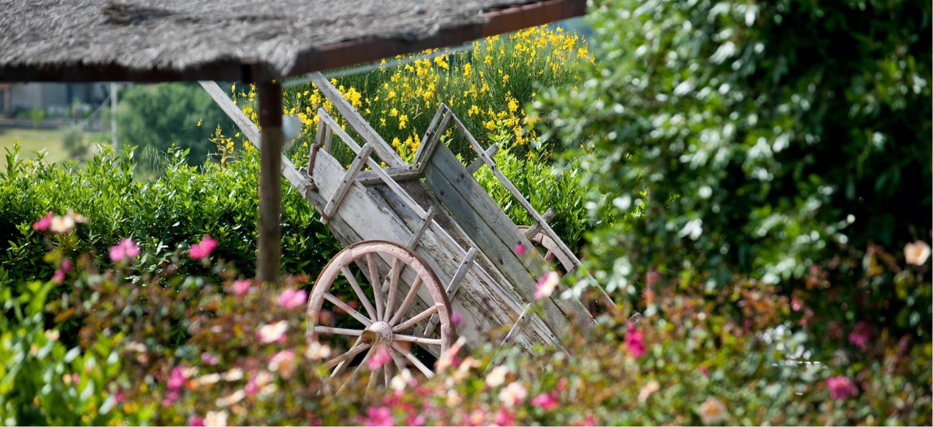 Agriturismo Toskana Agriturismo bei Arezzo - FeWo und Ferienhaus | myitalyselection.de