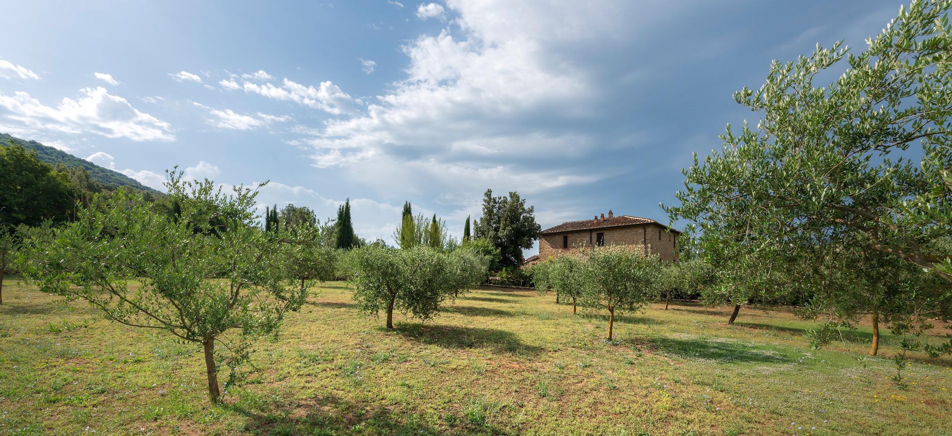 Agriturismo Toskana Agriturismo mit Ferienwohnungen Nähe Casole d'Elsa | myitalyselection.de