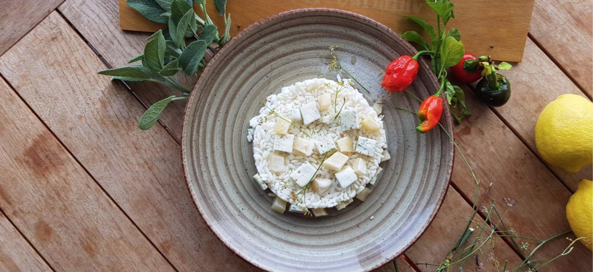 Agriturismo Marken Agriturismo Marken mit Restaurant und im Olivenhain