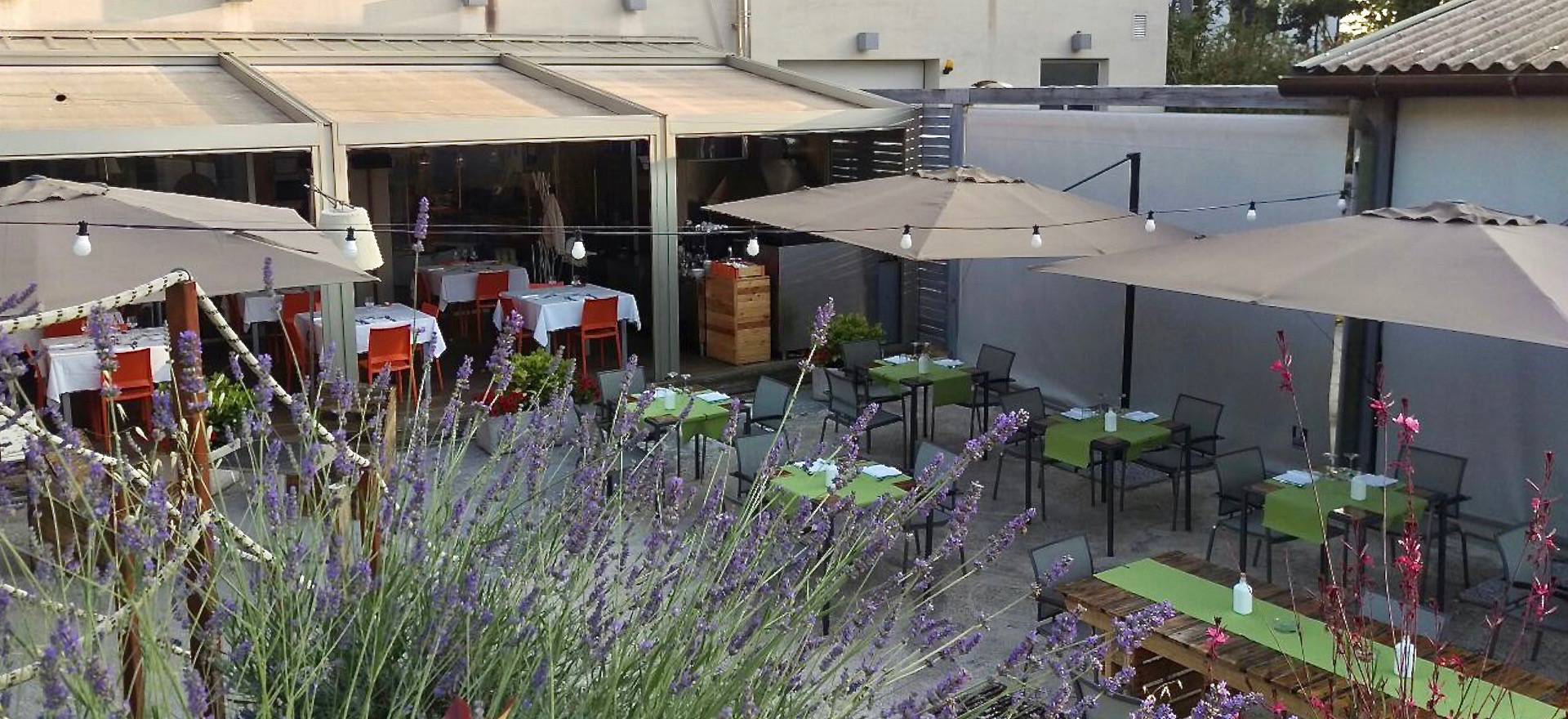 Agriturismo Marken Agriturismo Marken mit Restaurant und im Olivenhain