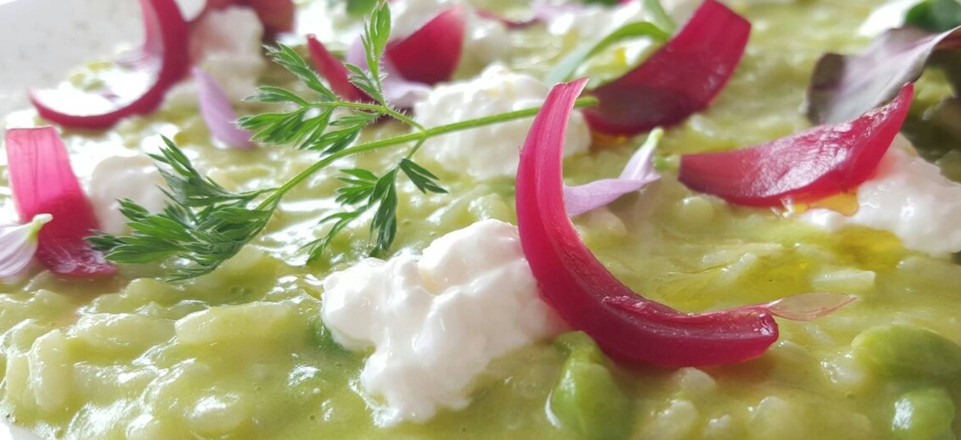 Agriturismo Marken Agriturismo Marken mit Restaurant und im Olivenhain