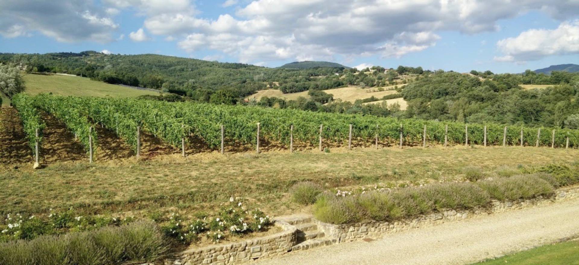 Agriturismo Toskana Agriturismo Toskana - Ferienhäuser und FeWo | myitalyselection.de