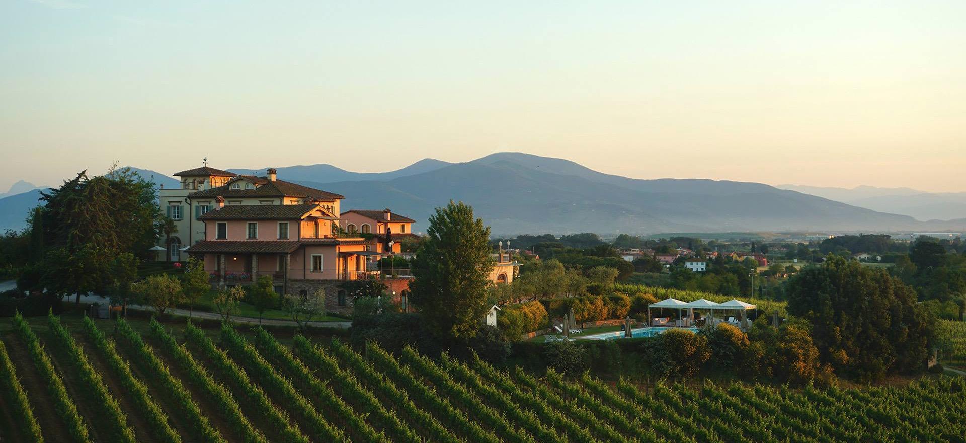 Agriturismo Toskana Agriturismo Toskana - FeWo auf Weingut - Nähe Pisa