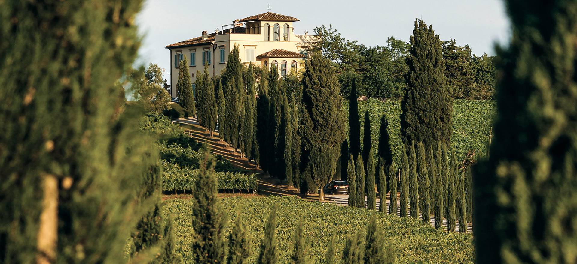 Agriturismo Toskana Agriturismo Toskana - FeWo auf Weingut - Nähe Pisa