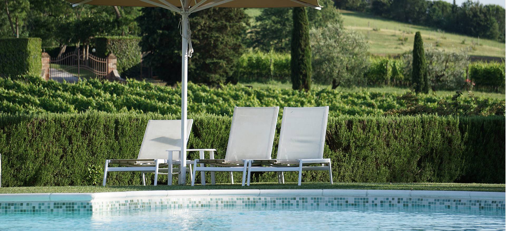 Agriturismo Toskana Agriturismo Toskana - FeWo auf Weingut - Nähe Pisa