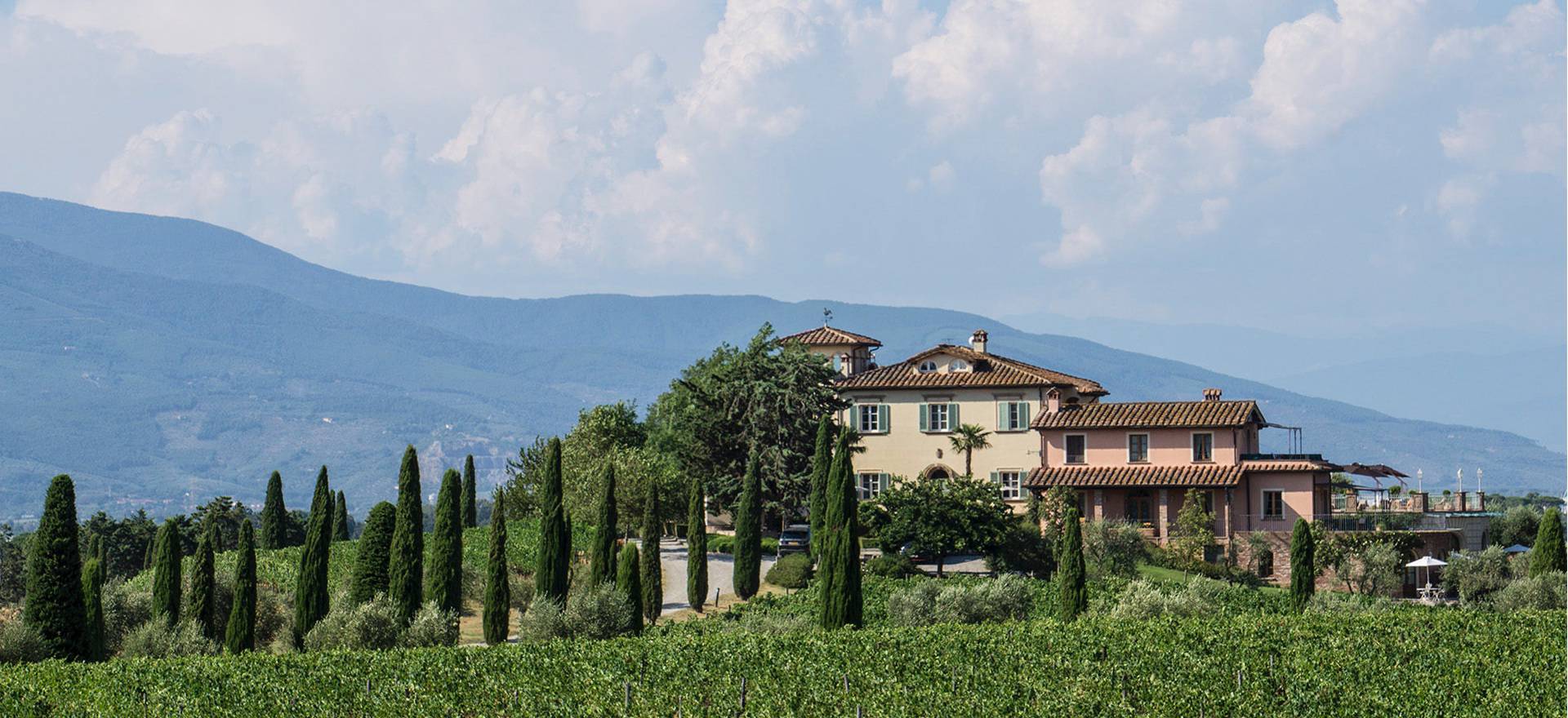 Agriturismo Toskana Agriturismo Toskana - FeWo auf Weingut - Nähe Pisa