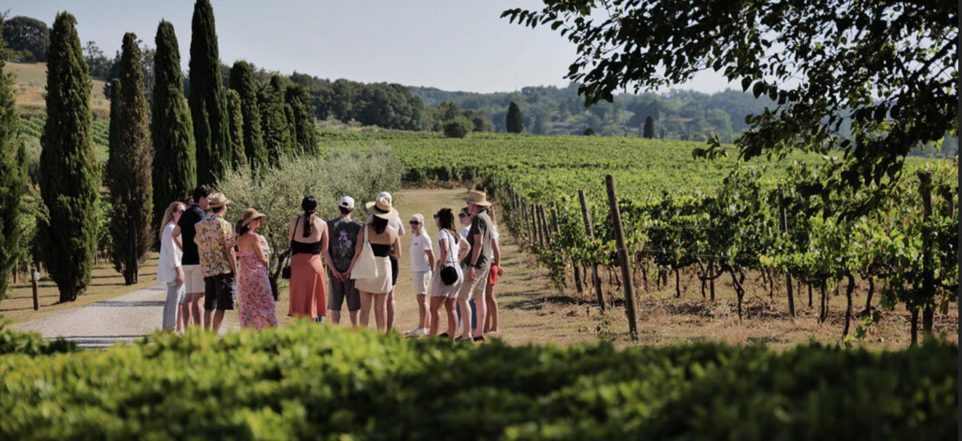 Agriturismo Toskana Agriturismo Toskana - FeWo auf Weingut - Nähe Pisa