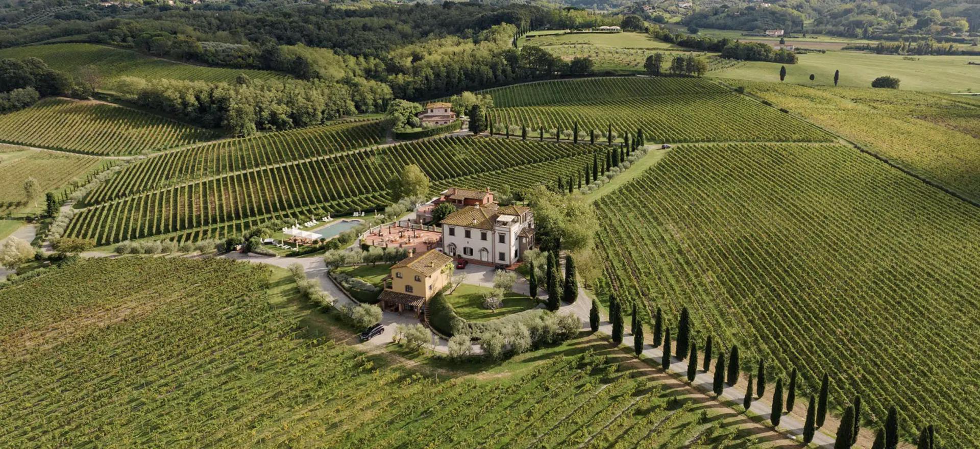 Agriturismo Toskana Agriturismo Toskana - FeWo auf Weingut - Nähe Pisa