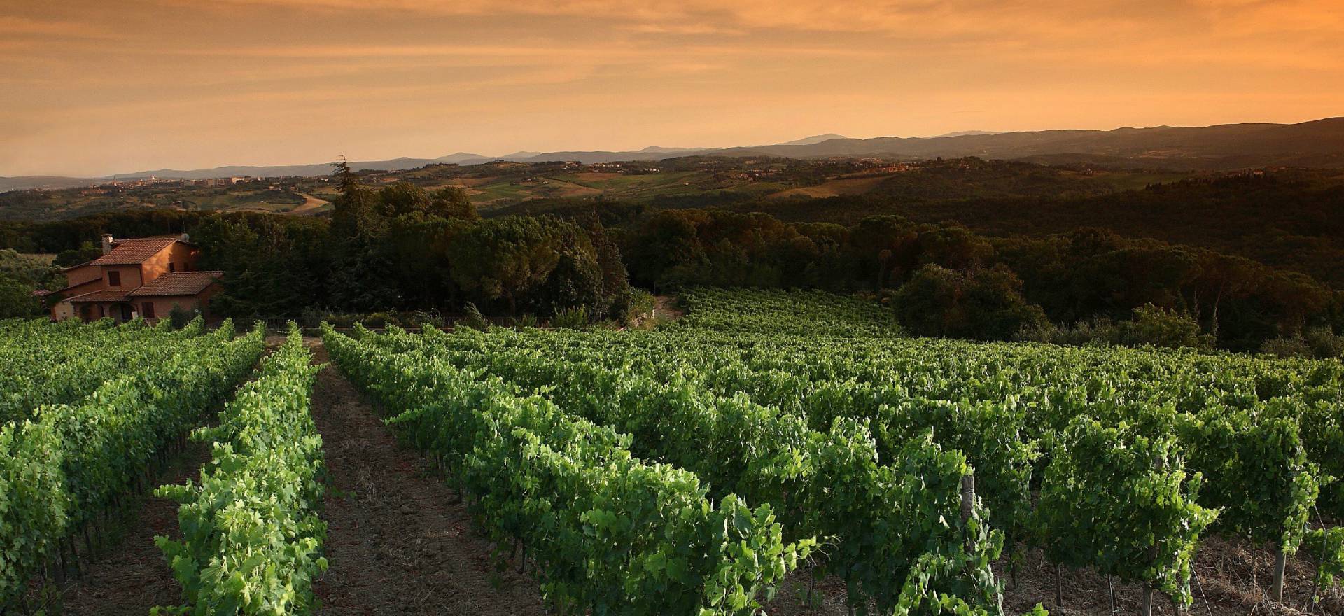 Agriturismo Toskana Authentisches Weingut mit FeWo und Zimmern in der Chianti-Region