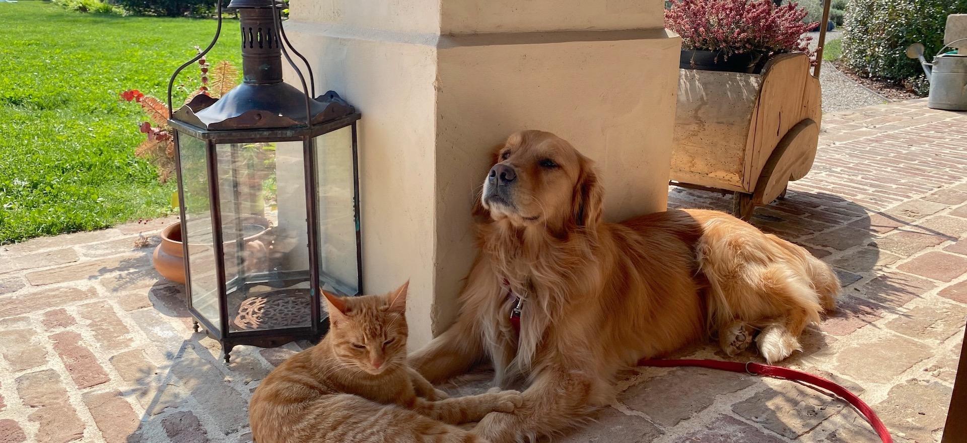 Agriturismo Venetien Charmantes Bed & Breakfast im Herzen Venetiens