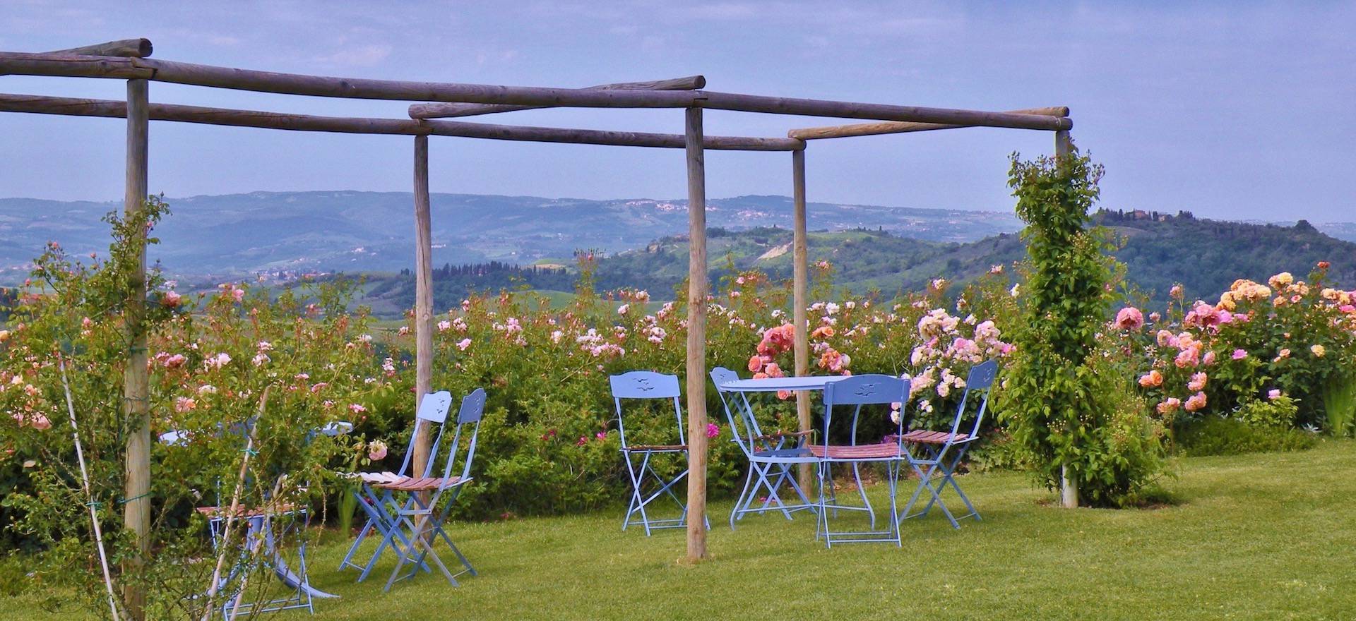 Agriturismo Toskana Ferienhaus oder FeWo im Olivenhain mit toller Aussicht - Toskana