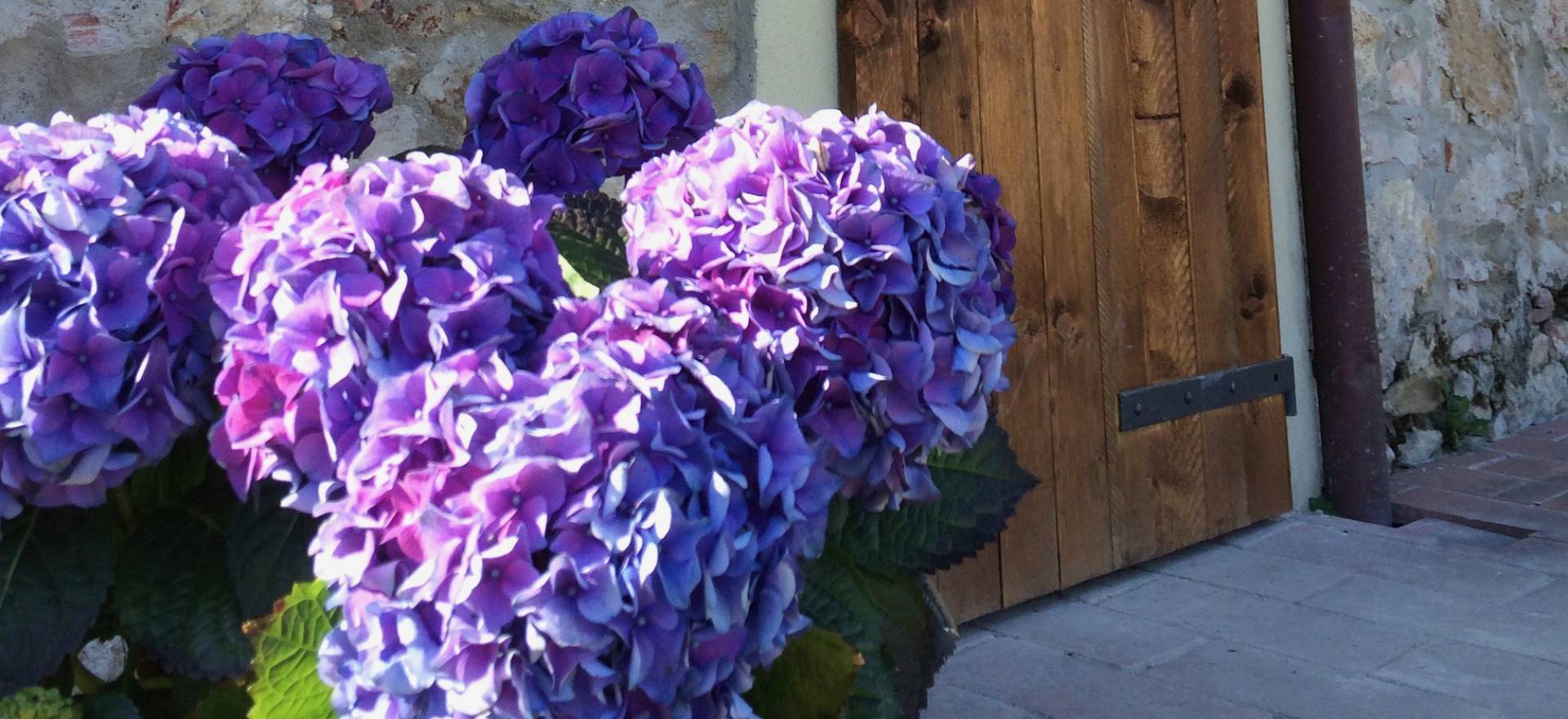 Agriturismo Toskana Ferienwohnungen mit guter Trattoria | myitalyselection.de