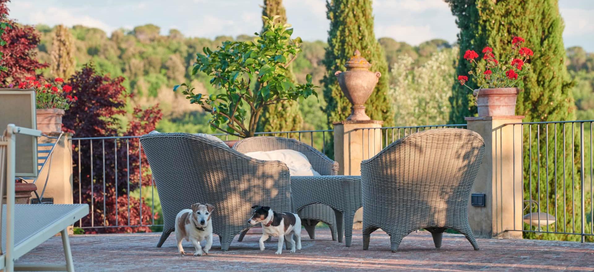 Agriturismo Toskana FeWo im klassischem Agriturismo - Chianti Region | myitalyselection.de