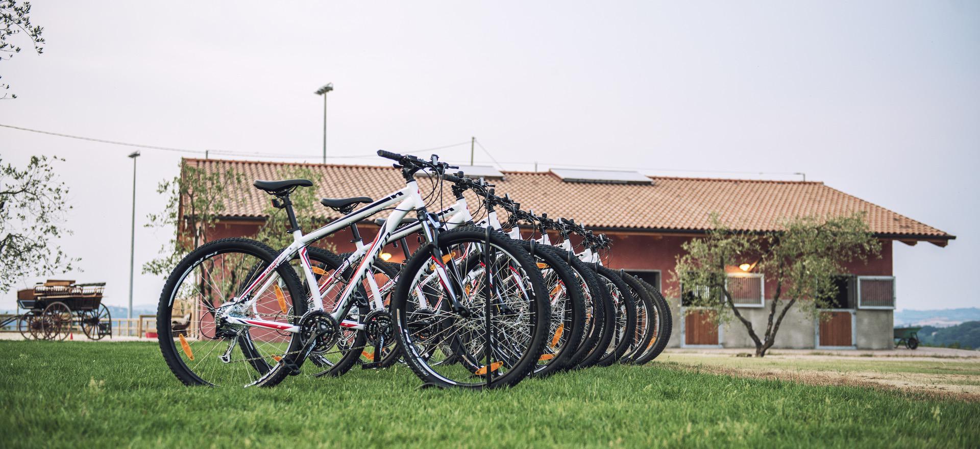 Agriturismo Toskana FeWo in Landhäusern Toskana - kinderfreundlich | myitalyselection.de