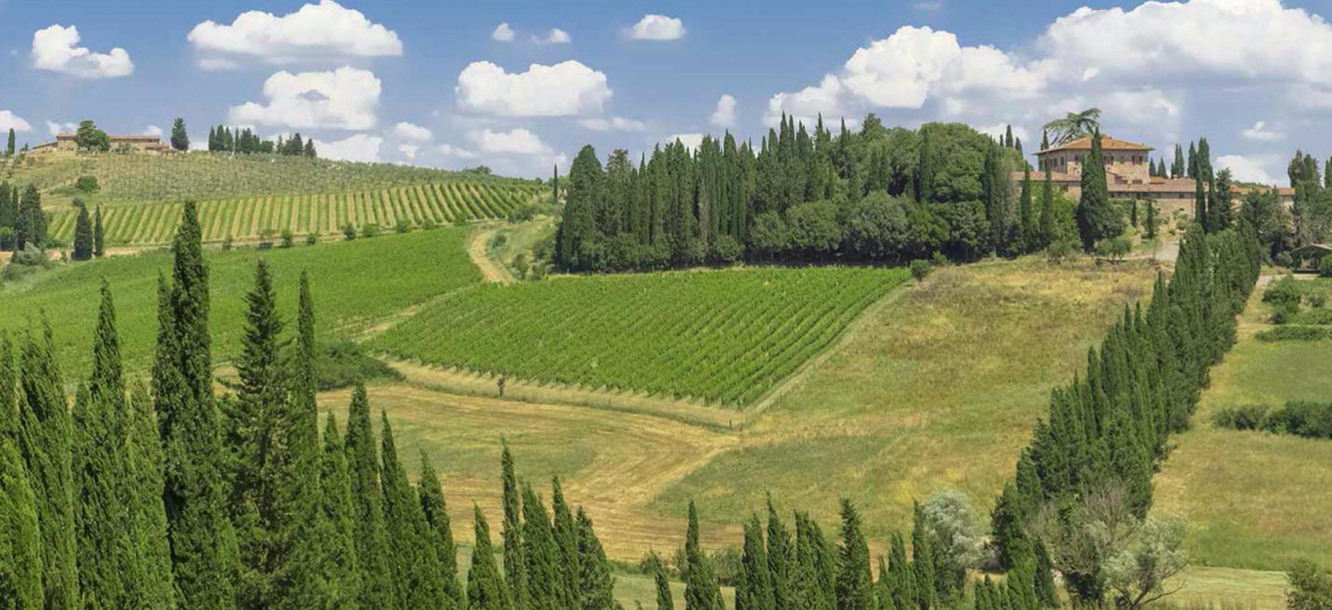 Agriturismo Toskana Gemütlicher Agriturismo in den unberührten Hügeln von Siena