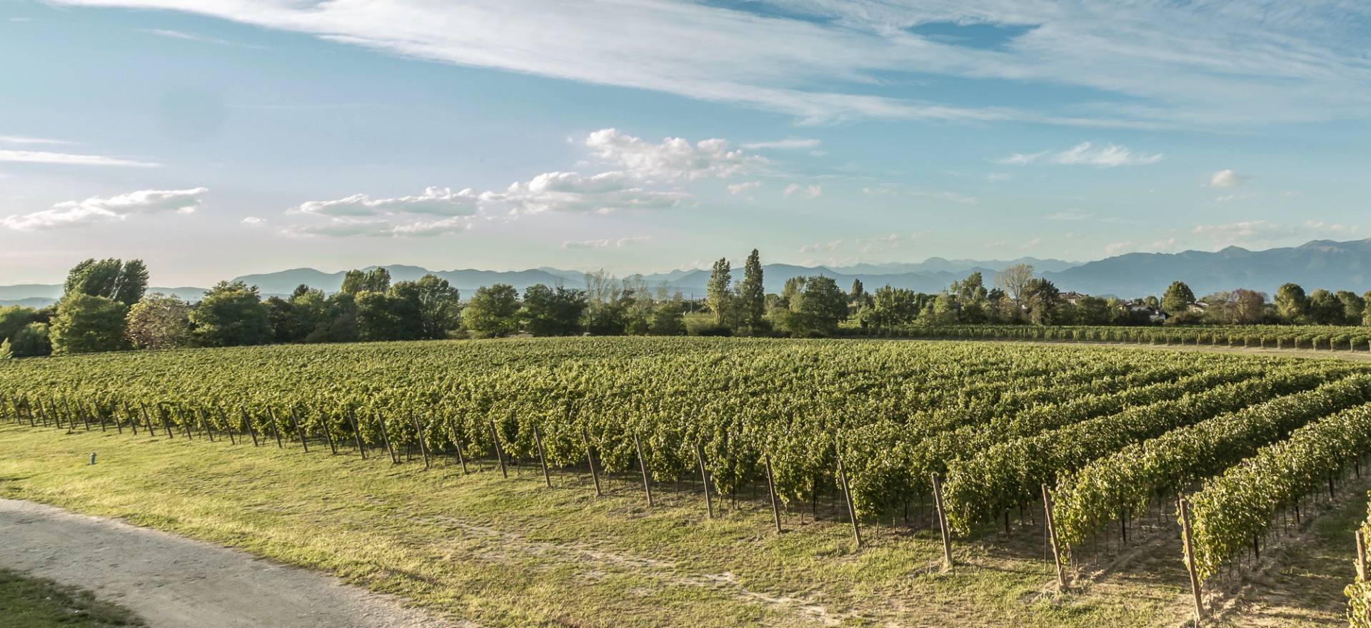 Agriturismo Comer See und Gardasee Kinderfreundlicher Agriturismo bei Sirmione am Gardasee