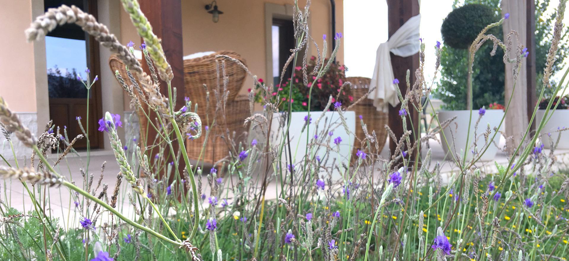 Agriturismo Sizilien Kinderfreundlicher Agriturismo Sizilien mit schönem Pool