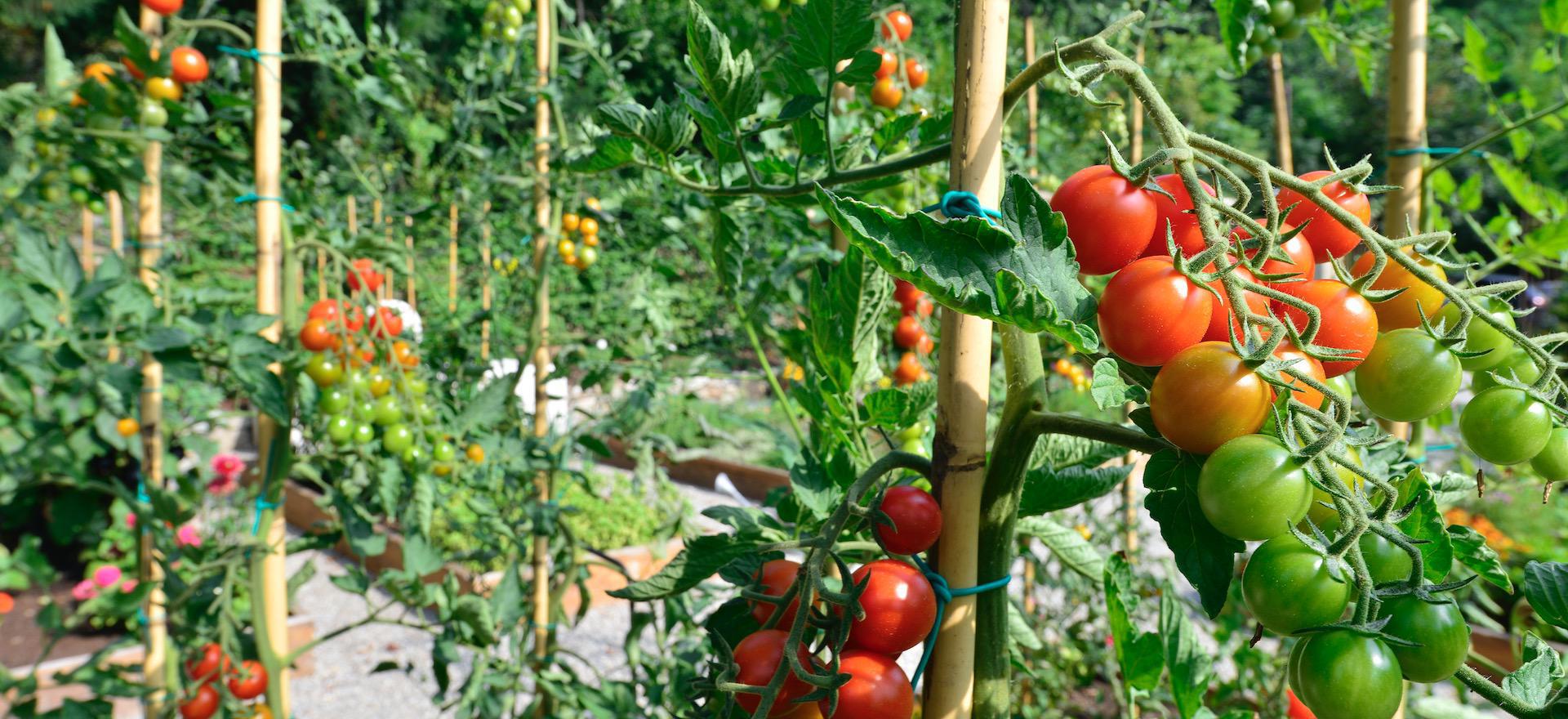 Agriturismo Comer See und Gardasee Kleines Luxusresort mit außergewöhnlicher Aussicht