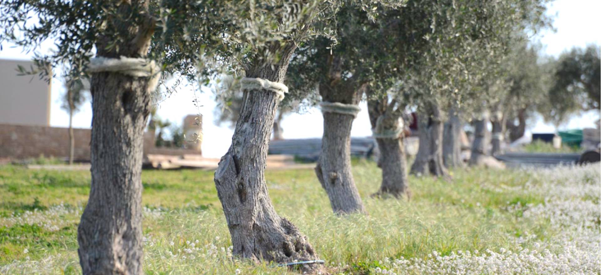 Agriturismo Sizilien Luxus-Agriturismo für Strandliebhaber