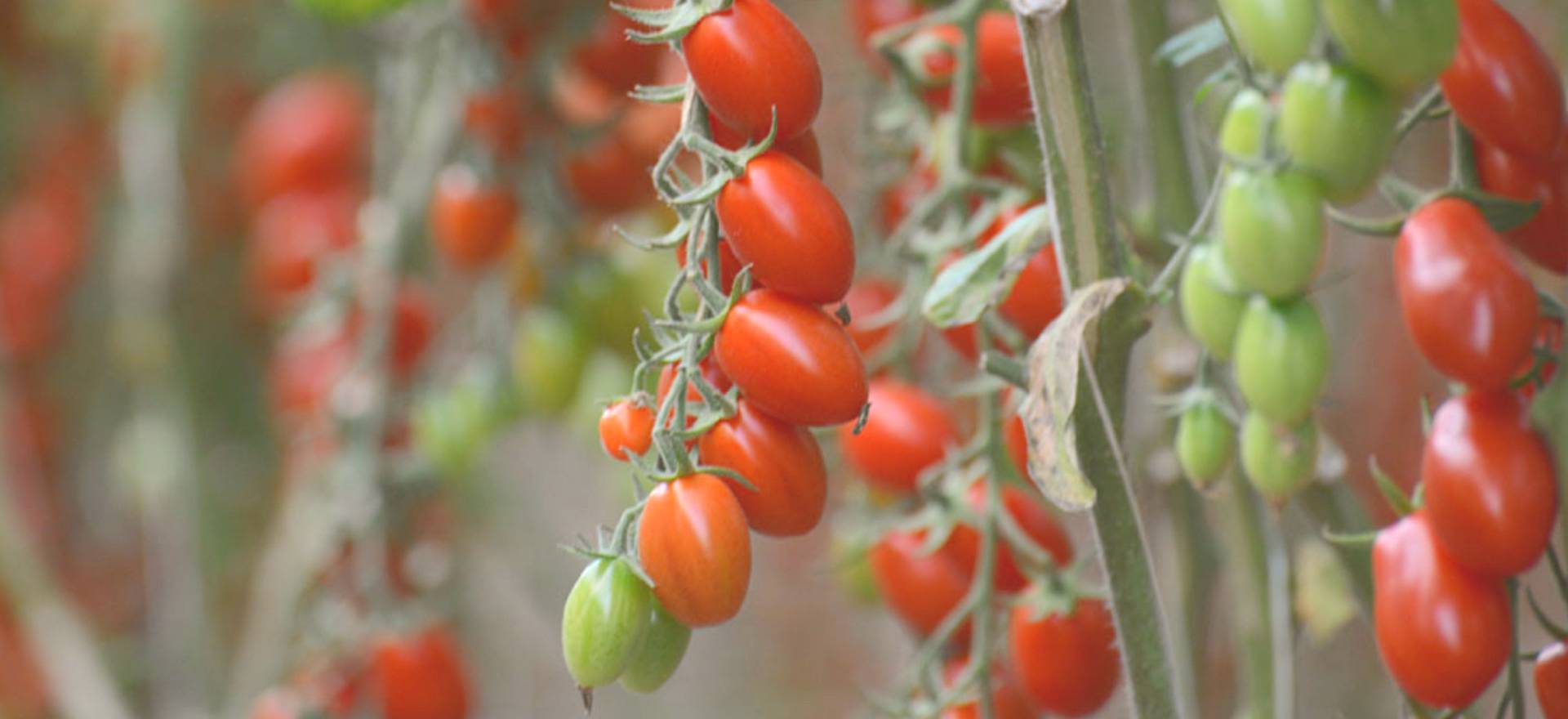 Agriturismo Sizilien Luxus-Agriturismo für Strandliebhaber