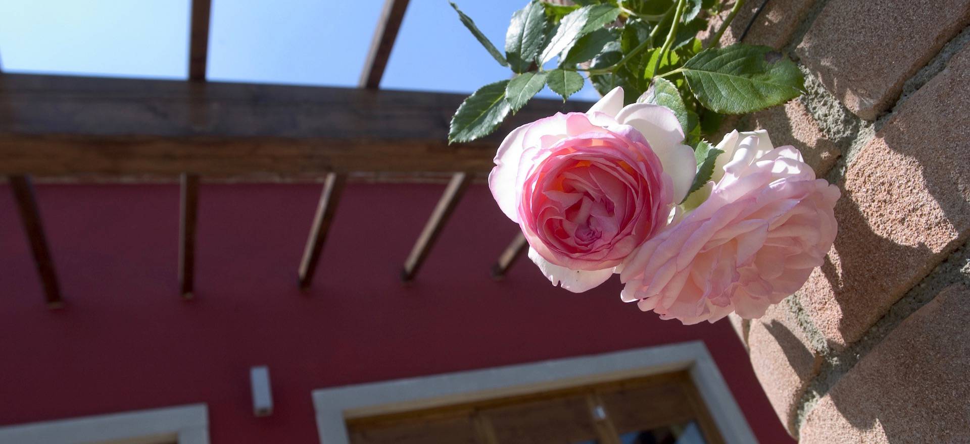 Agriturismo Toskana Country Chic Agriturismo für Liebhaber der italienischen Küche